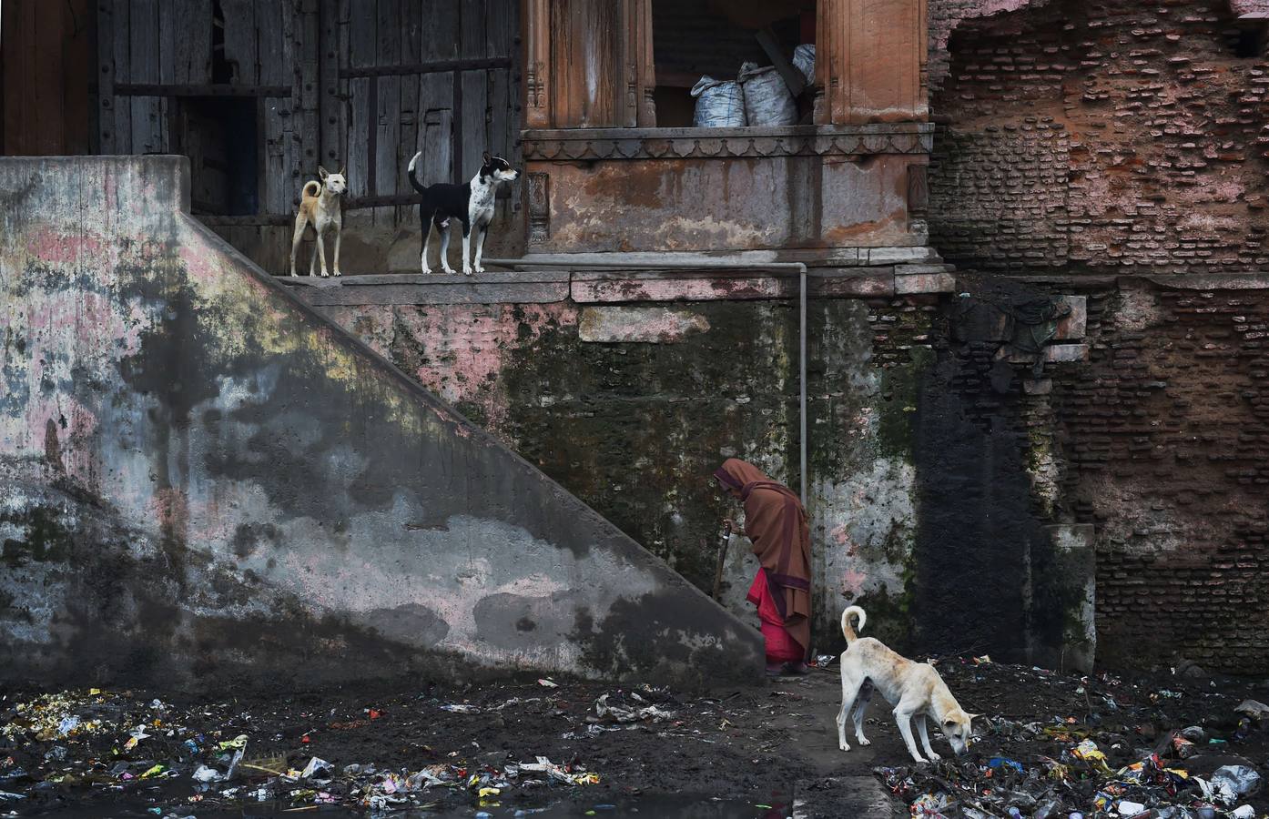 Vrindavan alberga cientos de templos dedicados al culto de Radha y Krishna y es considerada una ciudad. Fotografía: AFP Roberto Schmidt.