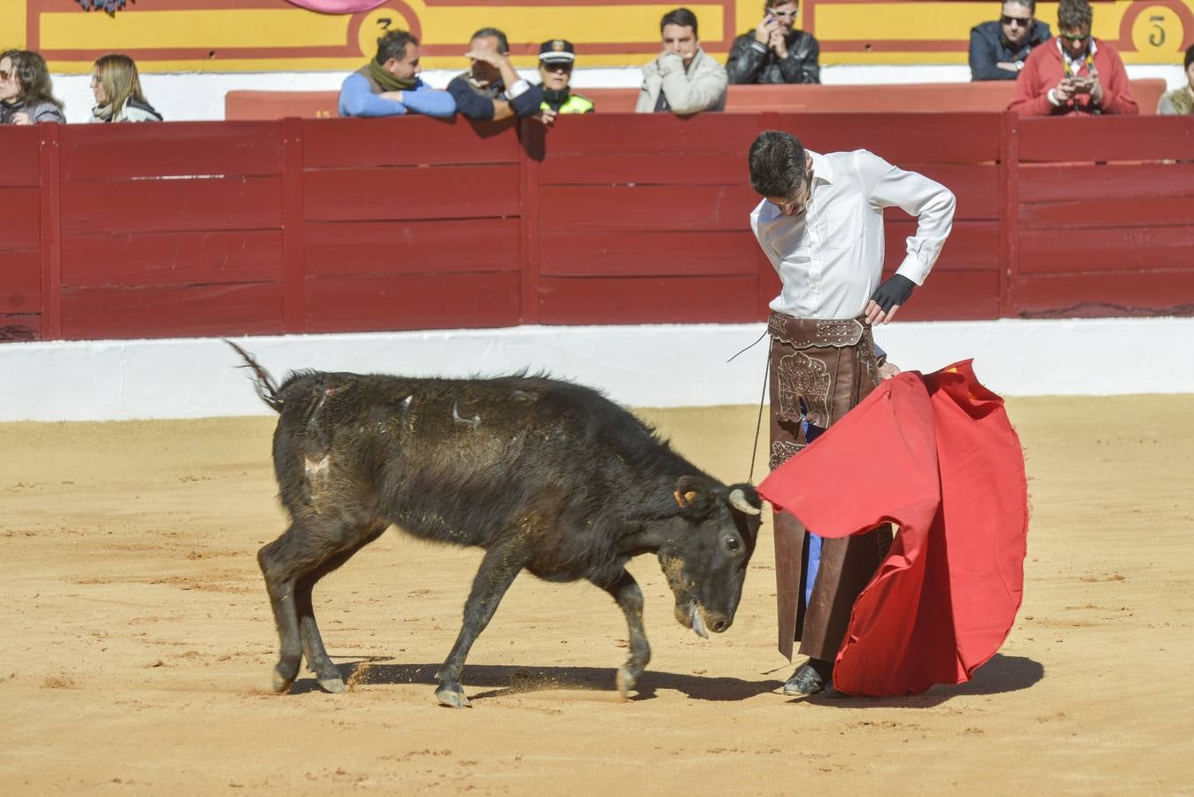 Capea de Talavante en Olivenza