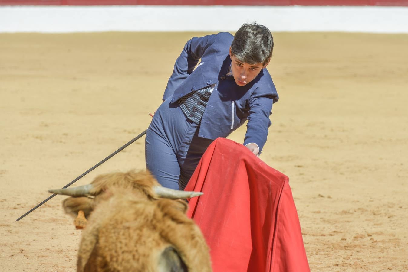 Capea de Talavante en Olivenza