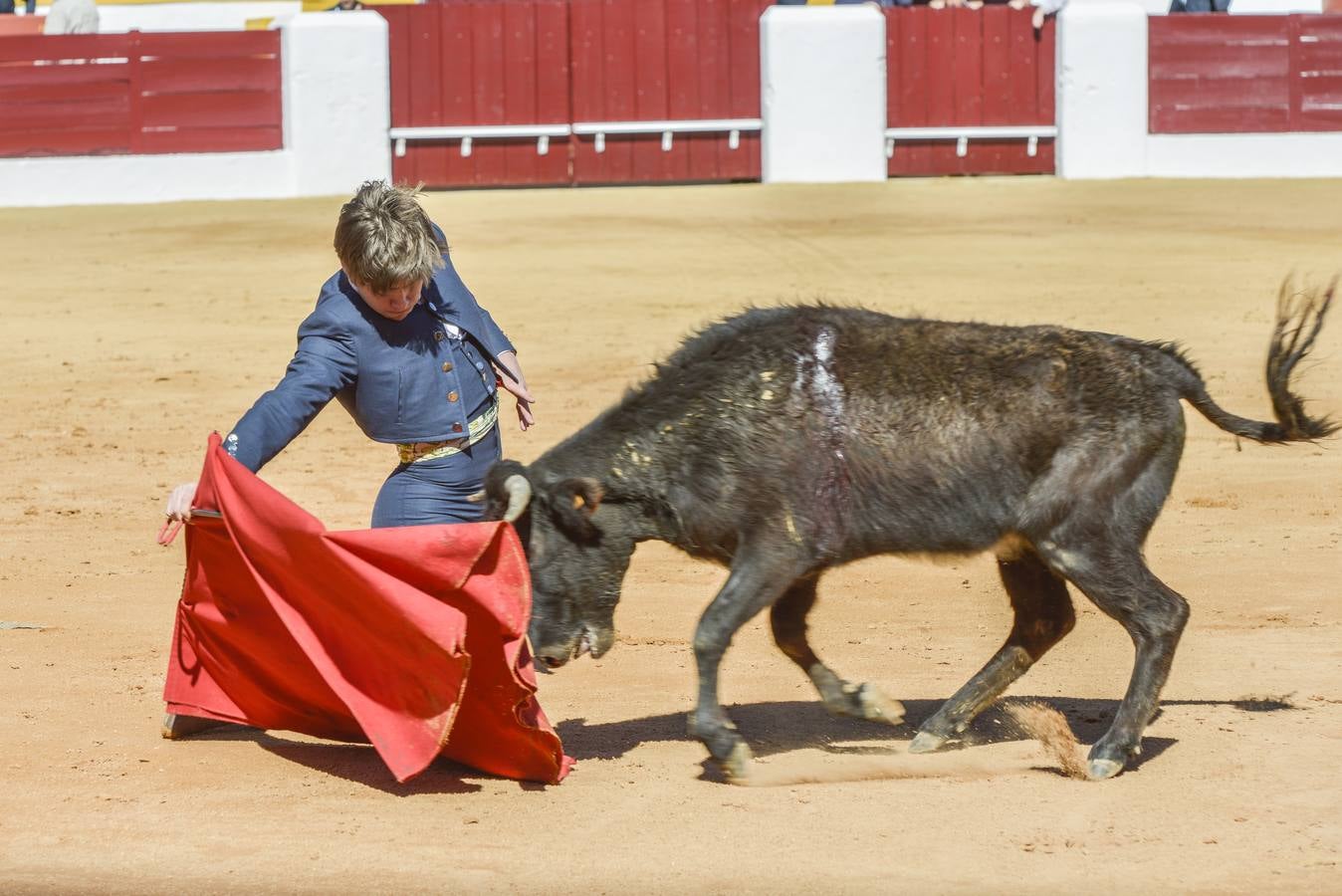 Capea de Talavante en Olivenza