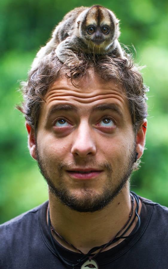 Mono nocturno (Aotus vociferans) en una comunidad del Parque Nacional de Yasuní