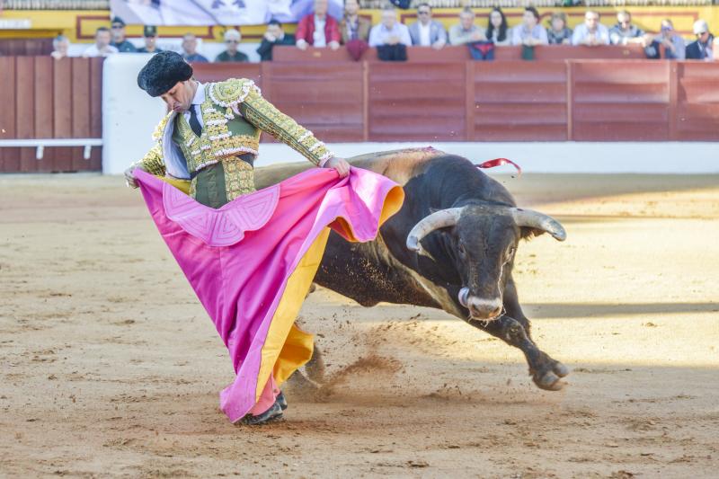 Triunfo rotundo de Talavante en Olivenza