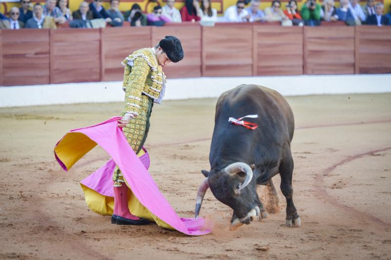 Triunfo rotundo de Talavante en Olivenza