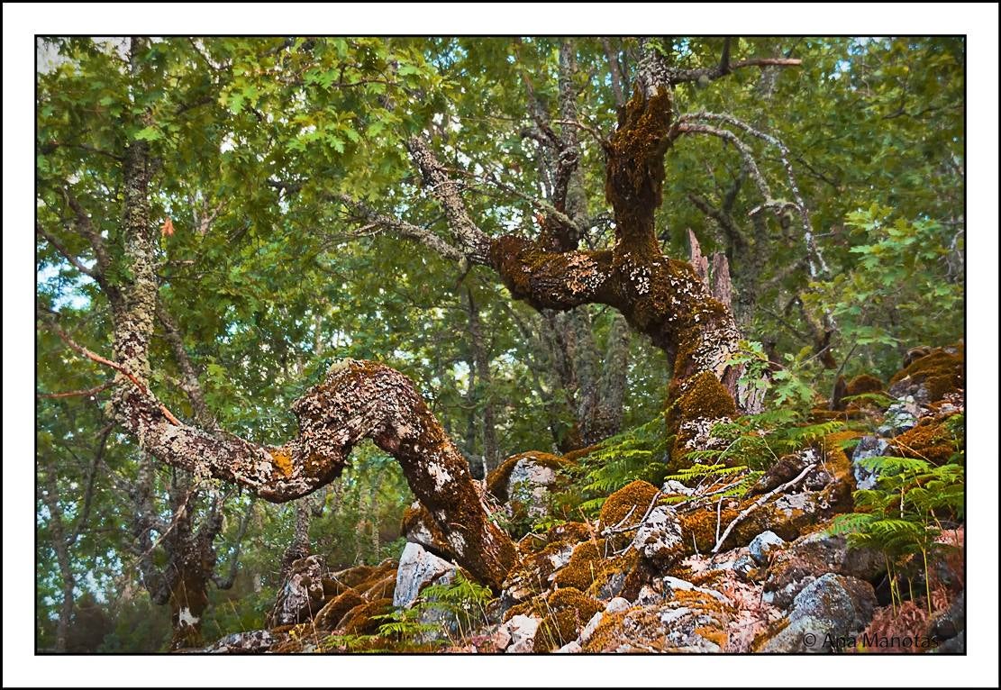 Valle de Viejas en Las Villuercas