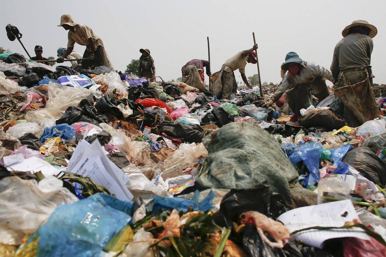 Viviendo en la basura