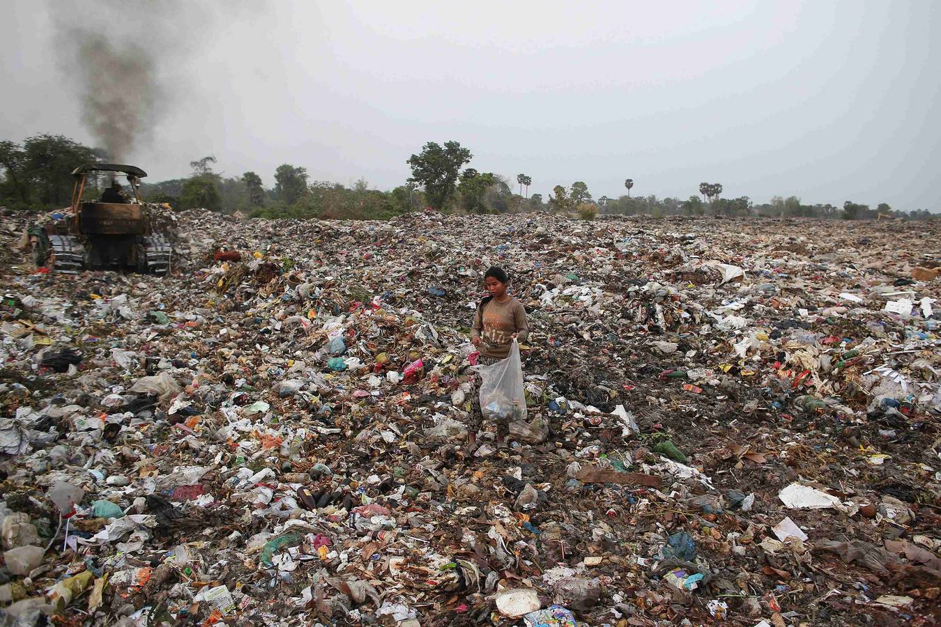 Viviendo en la basura