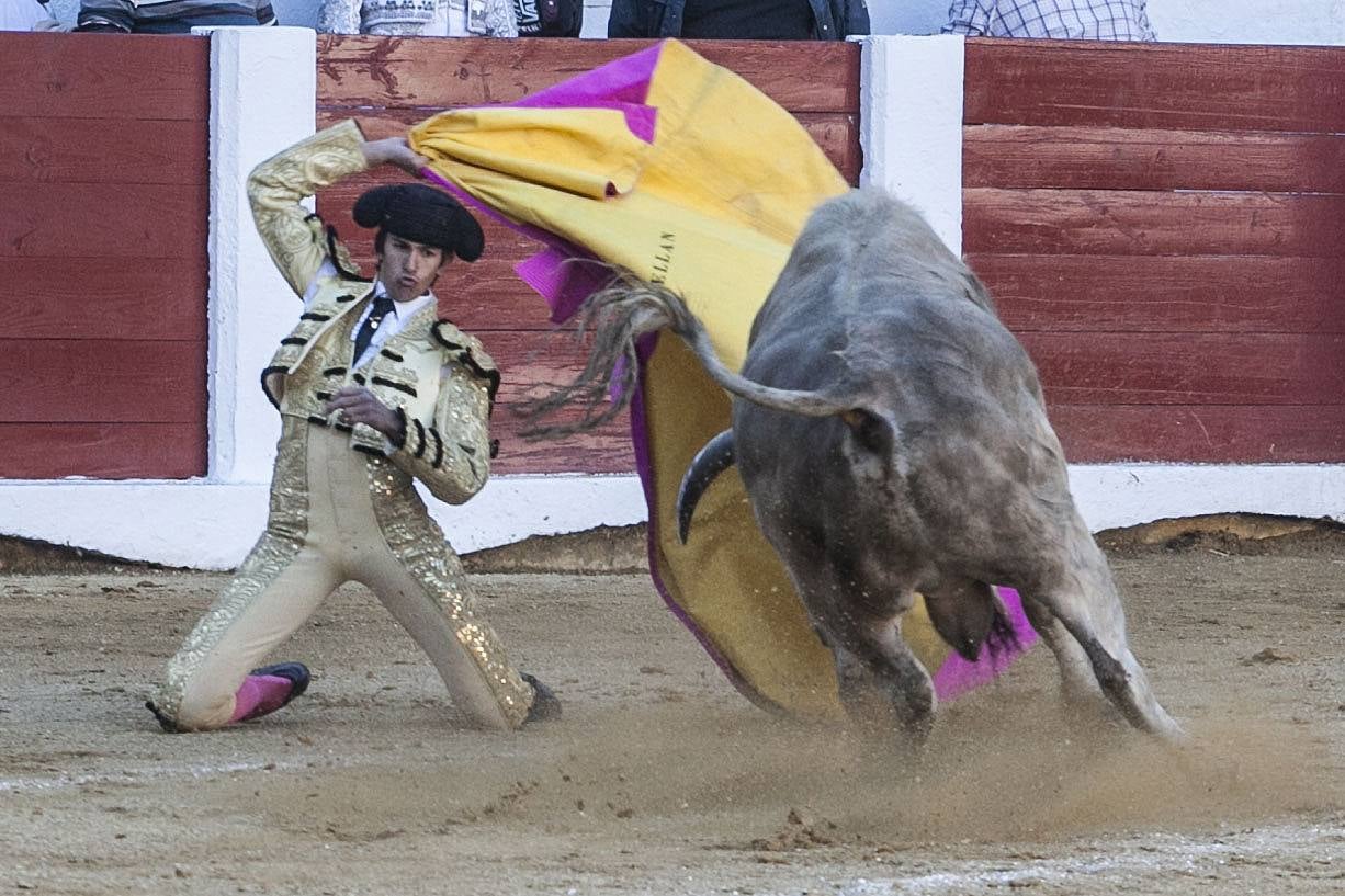 Domingo, 19 de abril: Posada de Maravillas, Alejandro Fermín y Juan Carlos Carballo estuvieron por encima del ganado. Media entrada larga en una nivillada entretenida en el que la presidencia solo rompió su elogiable rigor en la concesión de trofeos en el último novillo. Fotografía: Jorge Rey