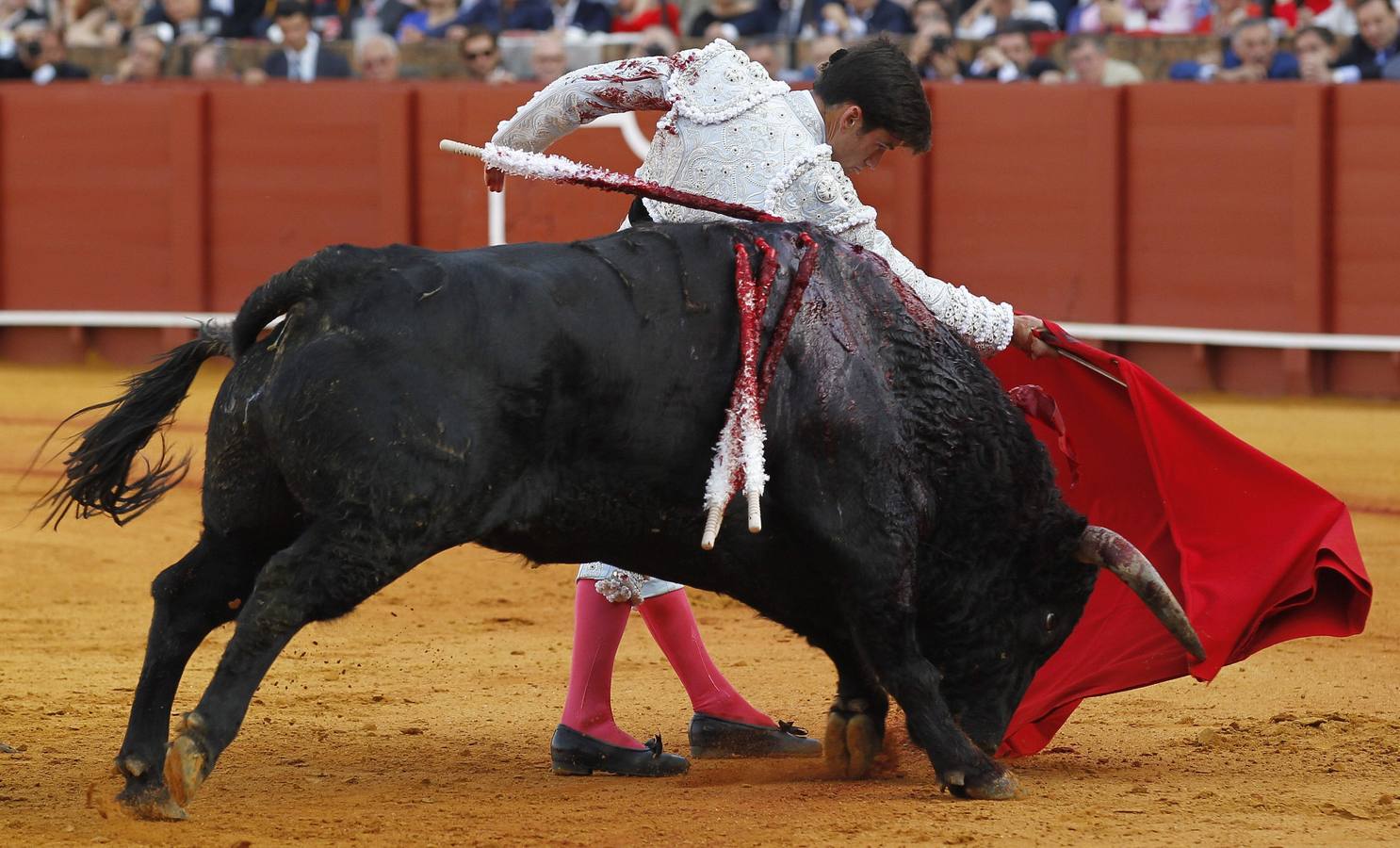Alternativa de Garrido, torero de emoción