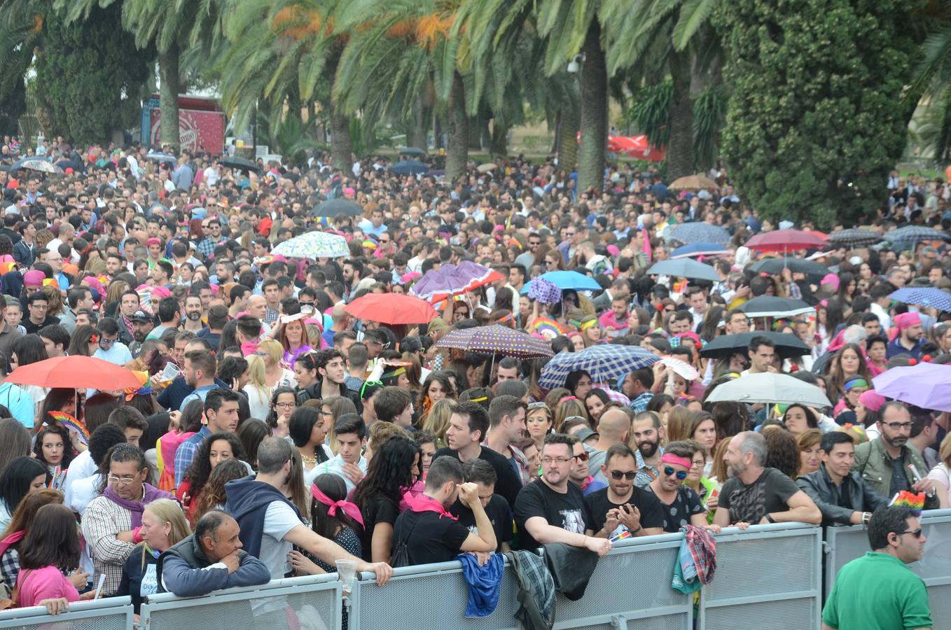Los Palomos desafían a la lluvia