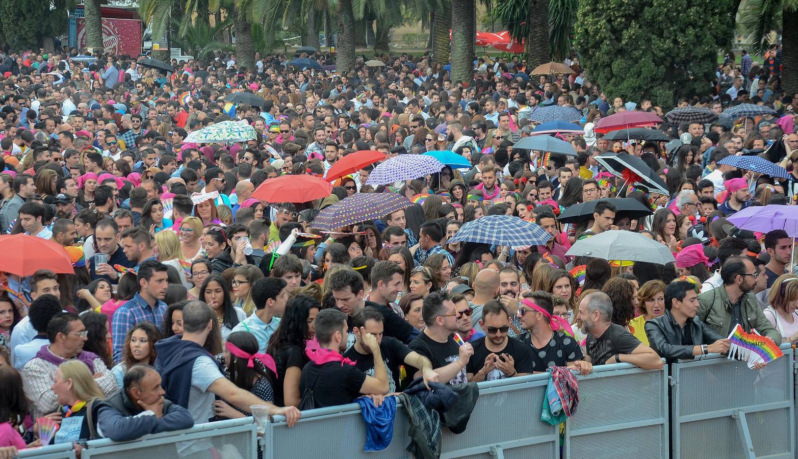 El resumen de Los Palomos, en imágenes