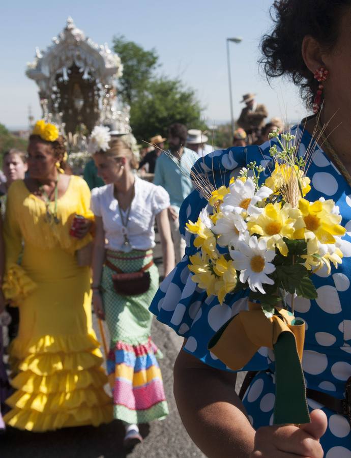 La Hermandad de la Macarena, una de las tres primeras hermandades sevillanas junto a Triana y el Cerro que hoy ha comenzado su camino hacia la aldea de El Rocío, en Almonte (Huelva), acompañada de centenares de personas.