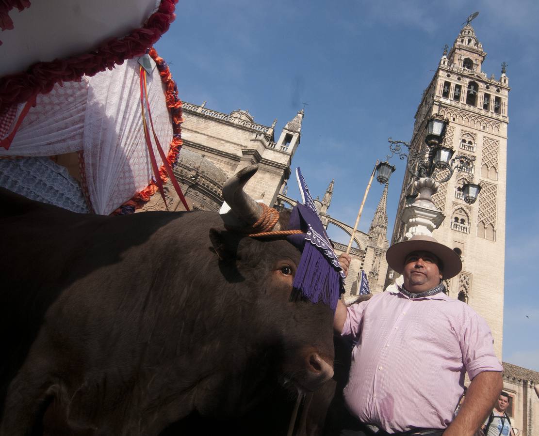 La Hermandad sevillana de El Salvador a su paso por la Catedral en el casco histórico de la capital hispalense, tras iniciar esta mañana su camino hacia la aldea almonteña de El Rocío (Huelva)