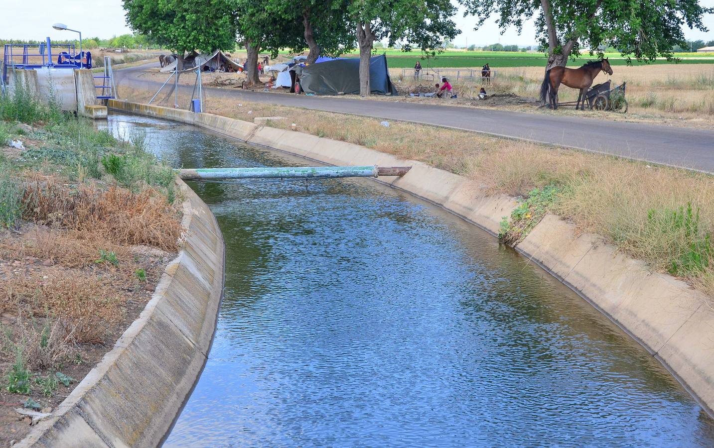 Viernes, 12 de junio: Muere una niña portuguesa de 18 meses tras caer al canal de Lobón en Talavera la Real. Fotografías: Casimiro Moreno