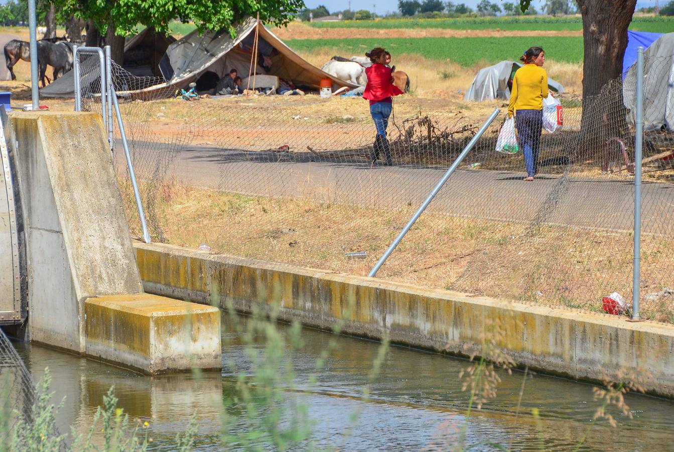 Viernes, 12 de junio: Muere una niña portuguesa de 18 meses tras caer al canal de Lobón en Talavera la Real. Fotografías: Casimiro Moreno