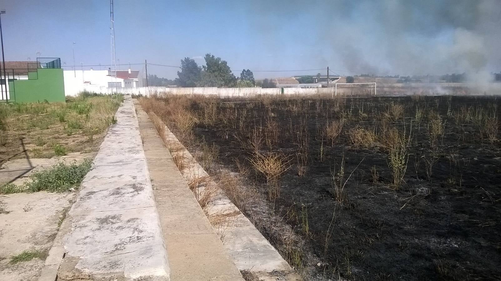 Los dos campos de fútbol de Novelda del Guadiana, pasto de las llamas tras el abandono