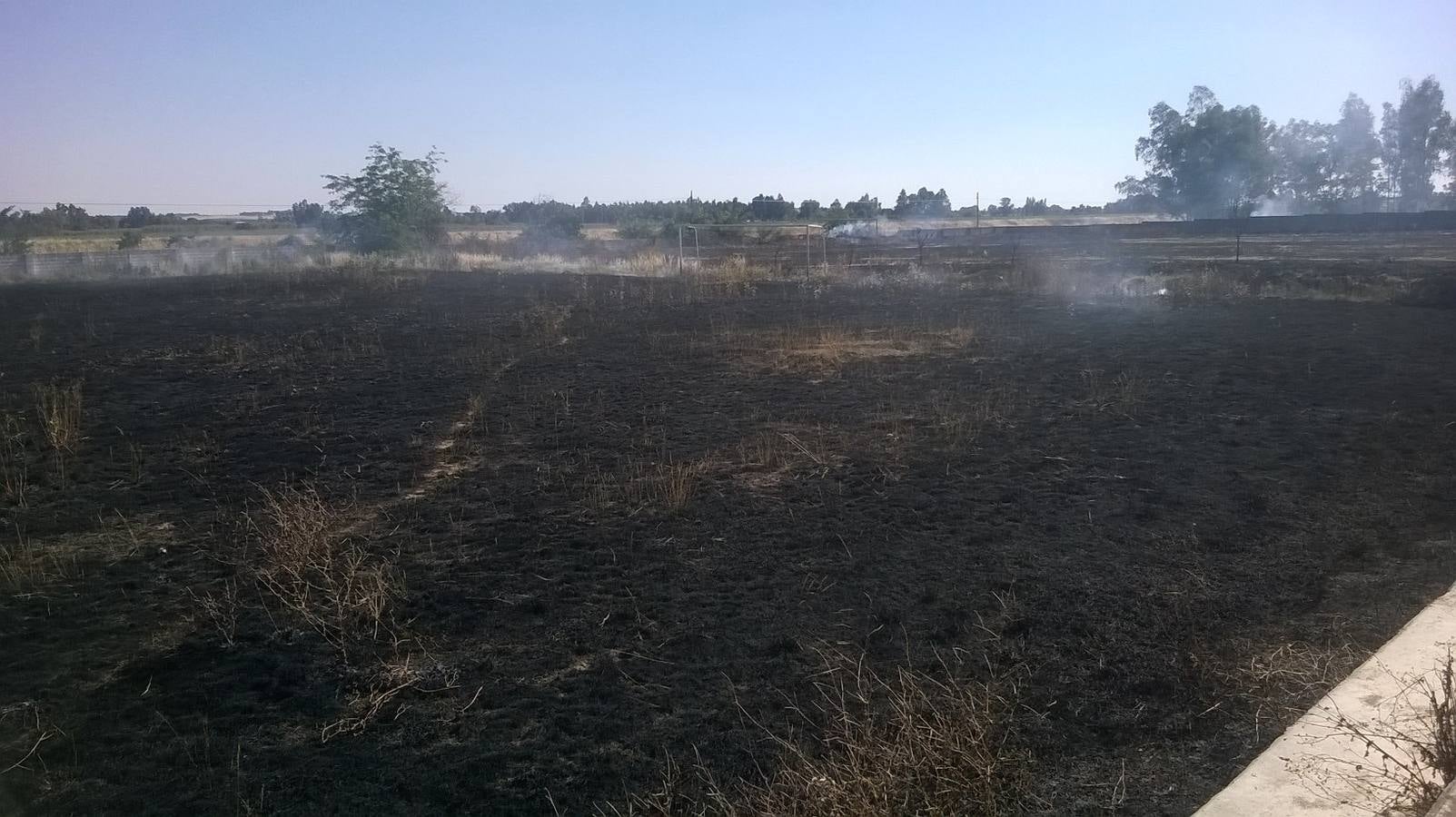 Los dos campos de fútbol de Novelda del Guadiana, pasto de las llamas tras el abandono