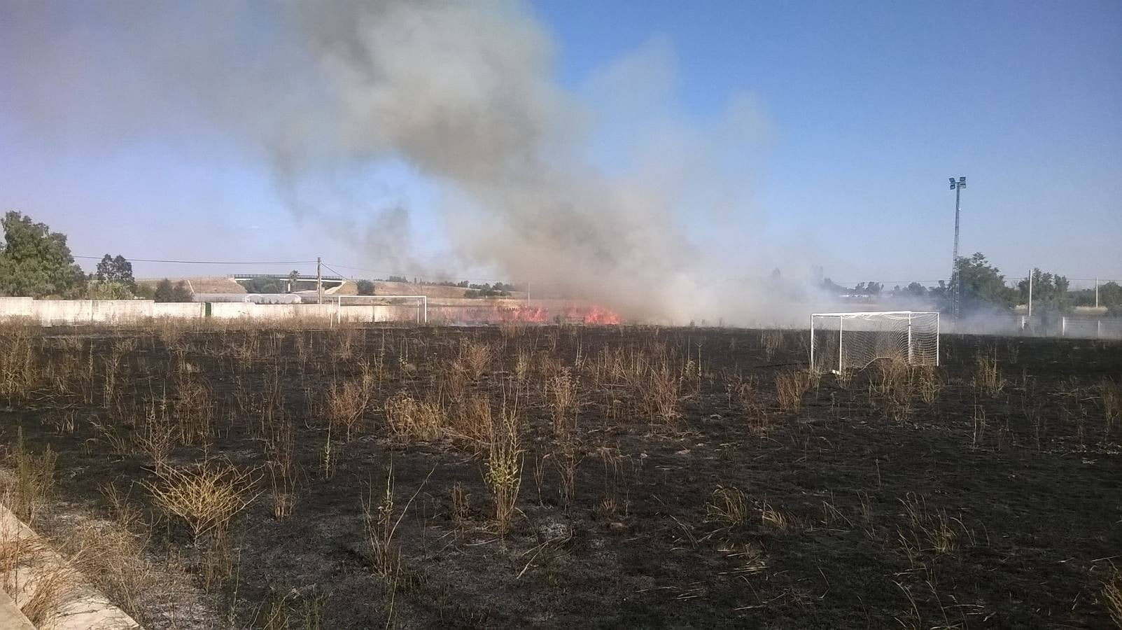 Los dos campos de fútbol de Novelda del Guadiana, pasto de las llamas tras el abandono