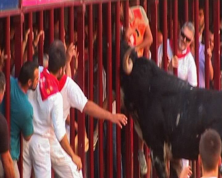 Miércoles, 24 de junio: Fallece corneado un vecino de Moraleja en los Sanjuanes de Coria. Fotografías: HOY