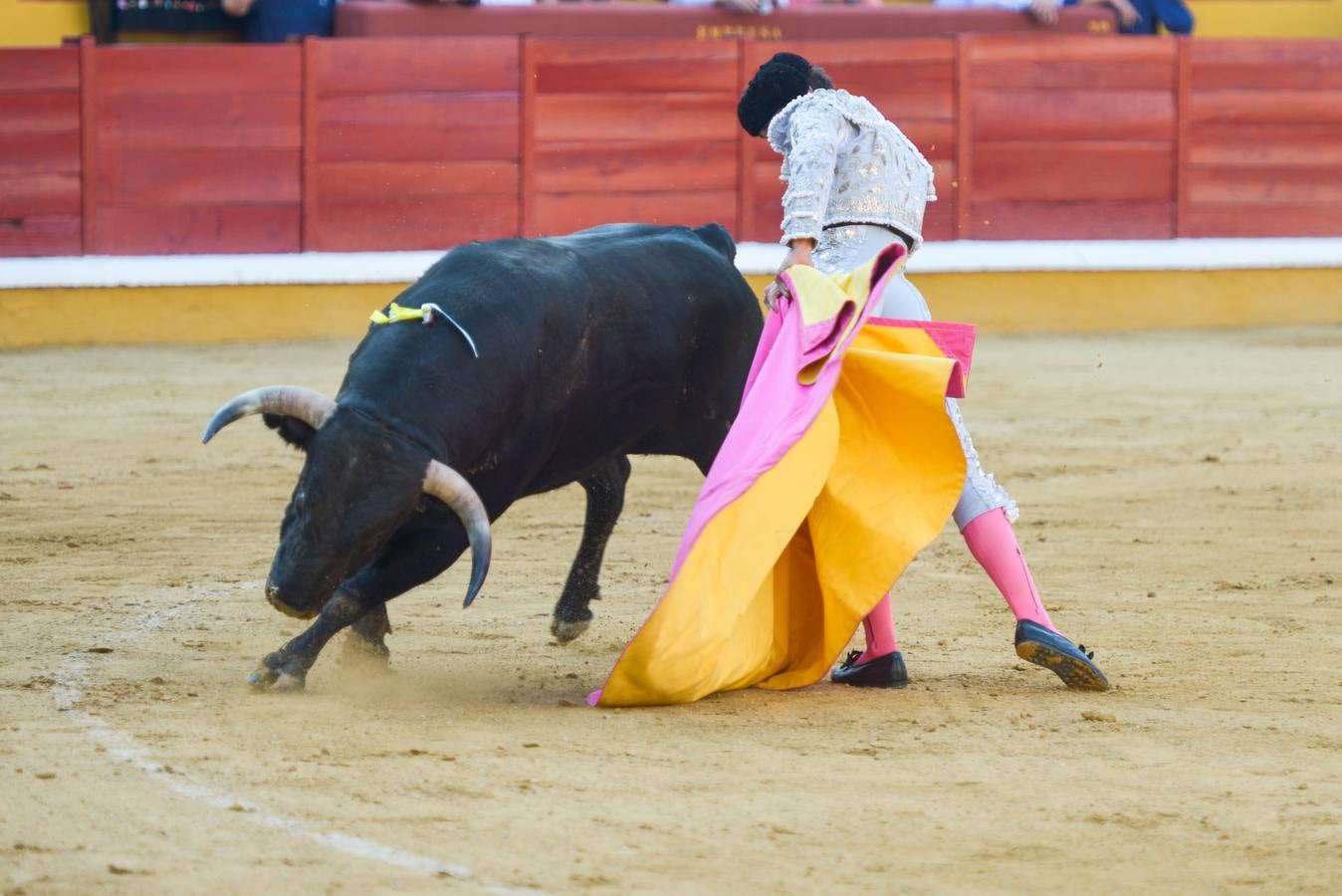 Orejas de peso en una difícil novillada de Fernando Peña en el coso de Pardaleras