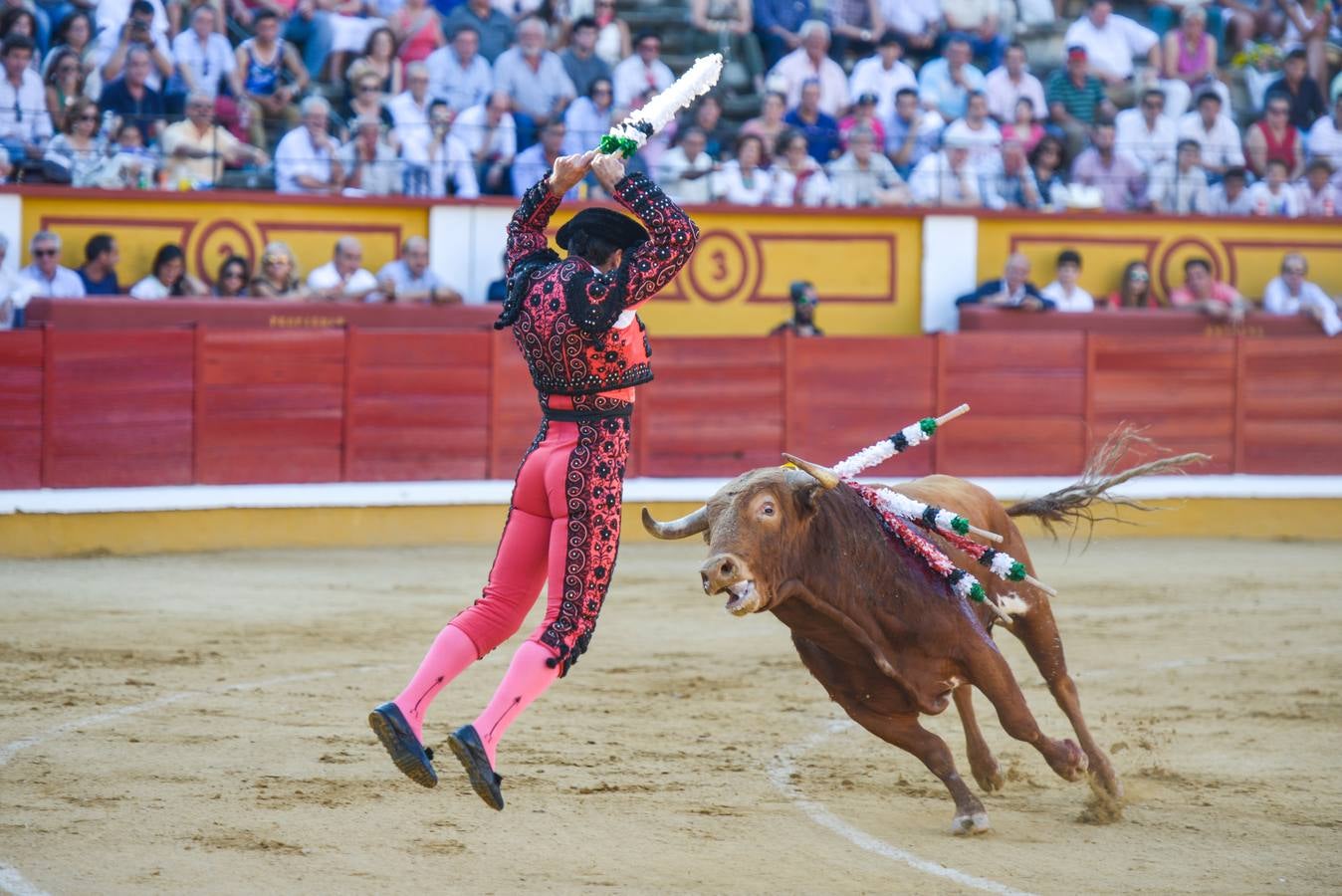 Orejas de peso en una difícil novillada de Fernando Peña en el coso de Pardaleras