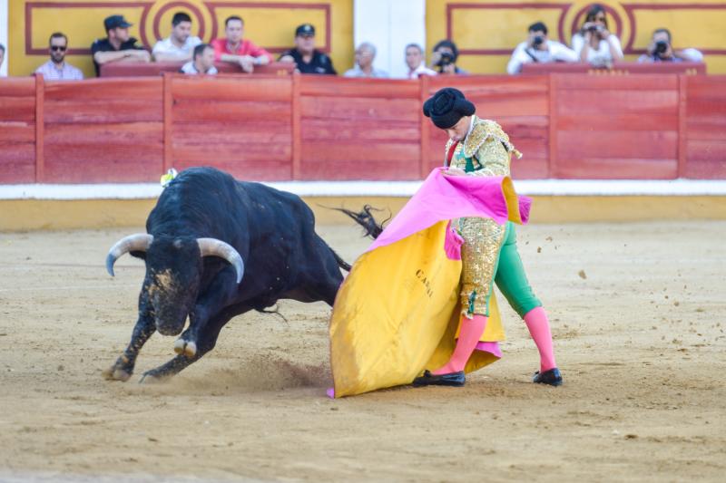 Orejas de peso en una difícil novillada de Fernando Peña en el coso de Pardaleras