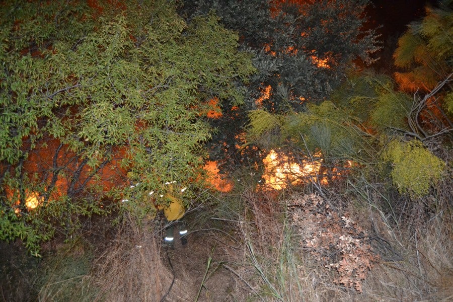 Un incendio obliga a cortar la pista que une Arroyo de San Serván con Calamonte