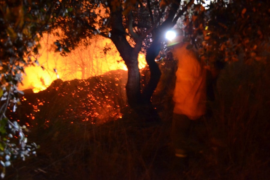 Un incendio obliga a cortar la pista que une Arroyo de San Serván con Calamonte