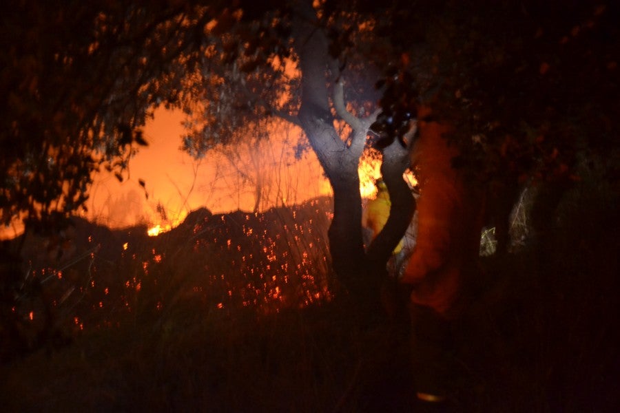 Un incendio obliga a cortar la pista que une Arroyo de San Serván con Calamonte