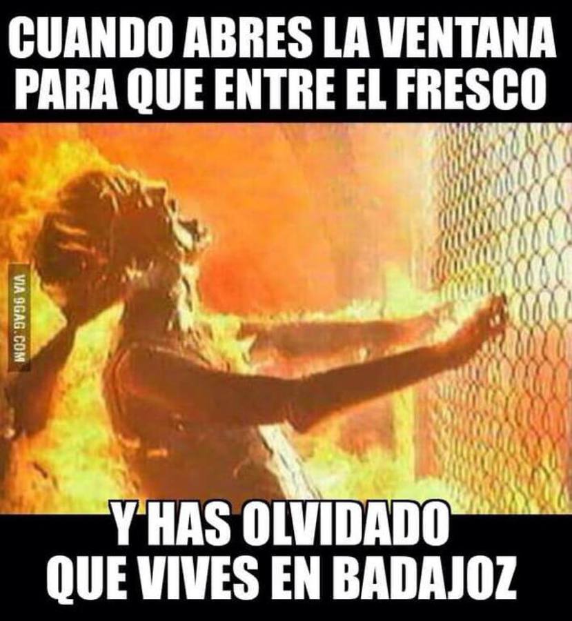 Los mejores &#039;memes&#039; para afrontar la ola de calor
