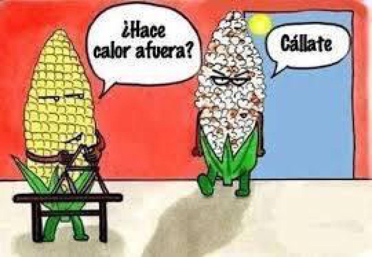 Los mejores &#039;memes&#039; para afrontar la ola de calor