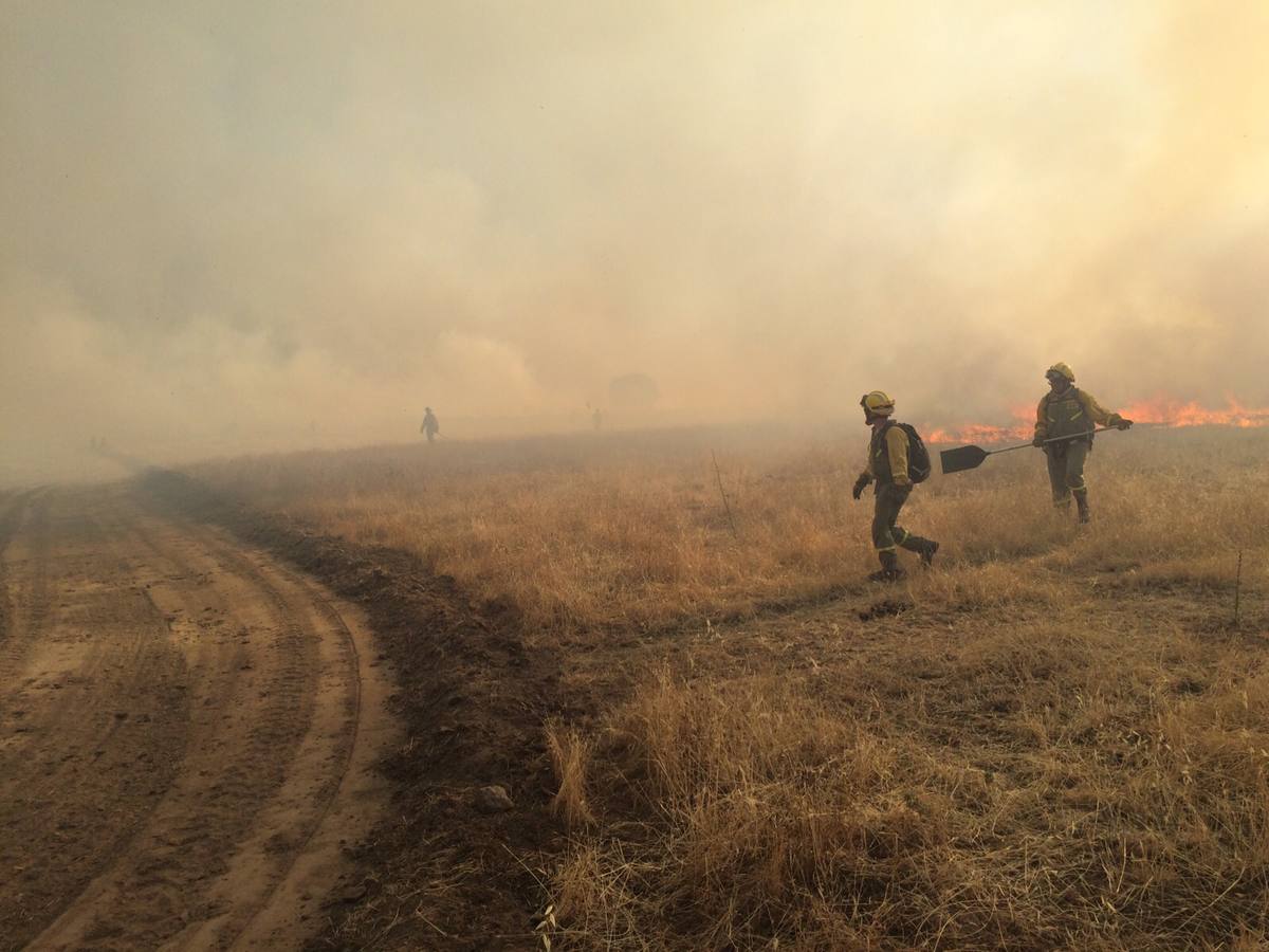 Sábado, 11 de julio: Un incendio que ha dejado más de 100 hectáreas quemadas, alertaron a parte de la comarca de Trujillo. Las llamas llegaron justo a la entrada de Ibahernando. Fotografía: Javier Sánchez