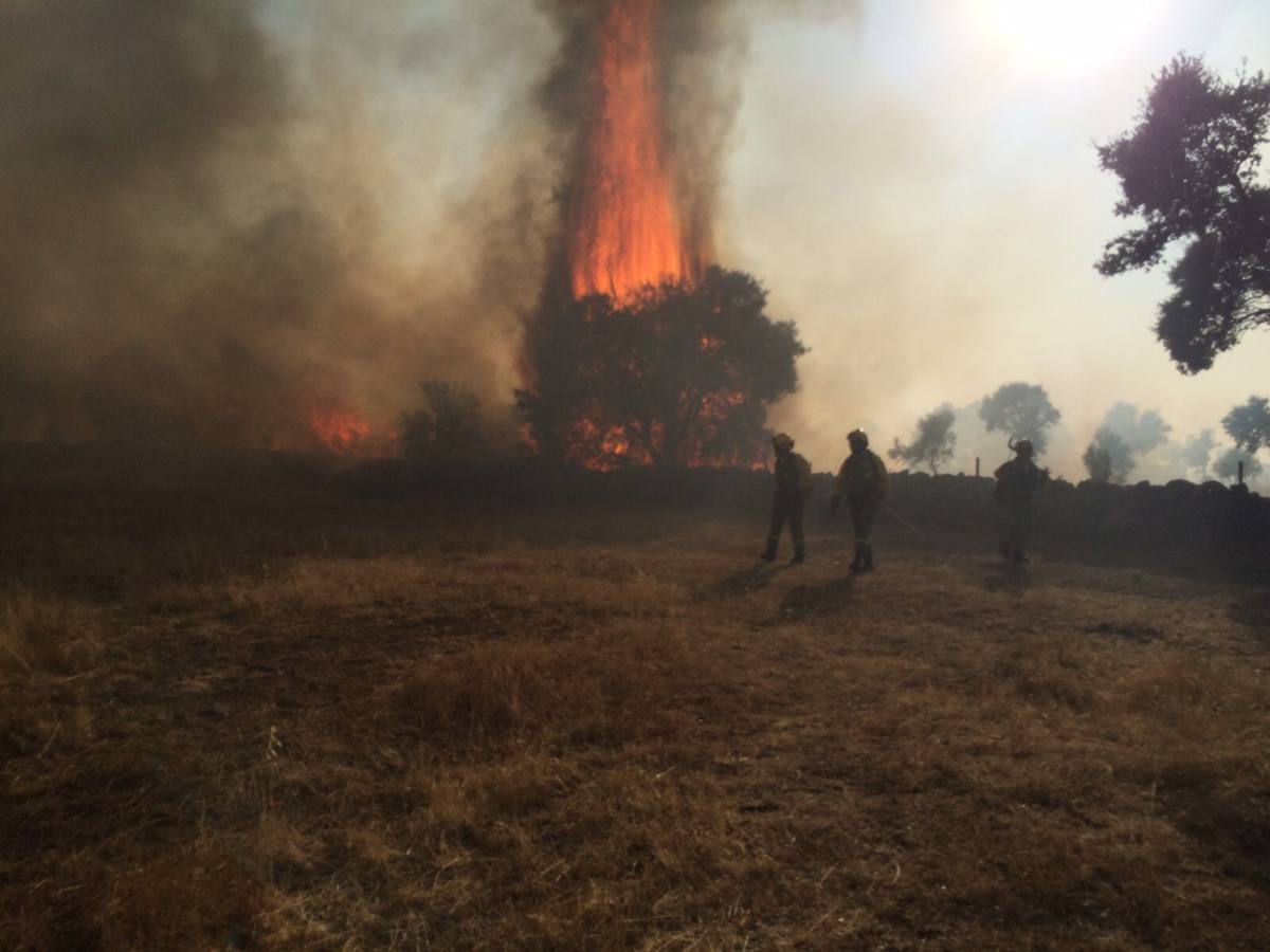 Sábado, 11 de julio: Un incendio que ha dejado más de 100 hectáreas quemadas, alertaron a parte de la comarca de Trujillo. Las llamas llegaron justo a la entrada de Ibahernando. Fotografía: Javier Sánchez