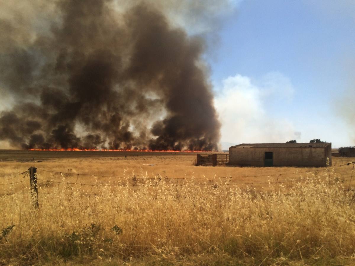 Sábado, 11 de julio: Un incendio que ha dejado más de 100 hectáreas quemadas, alertaron a parte de la comarca de Trujillo. Las llamas llegaron justo a la entrada de Ibahernando. Fotografía: Javier Sánchez