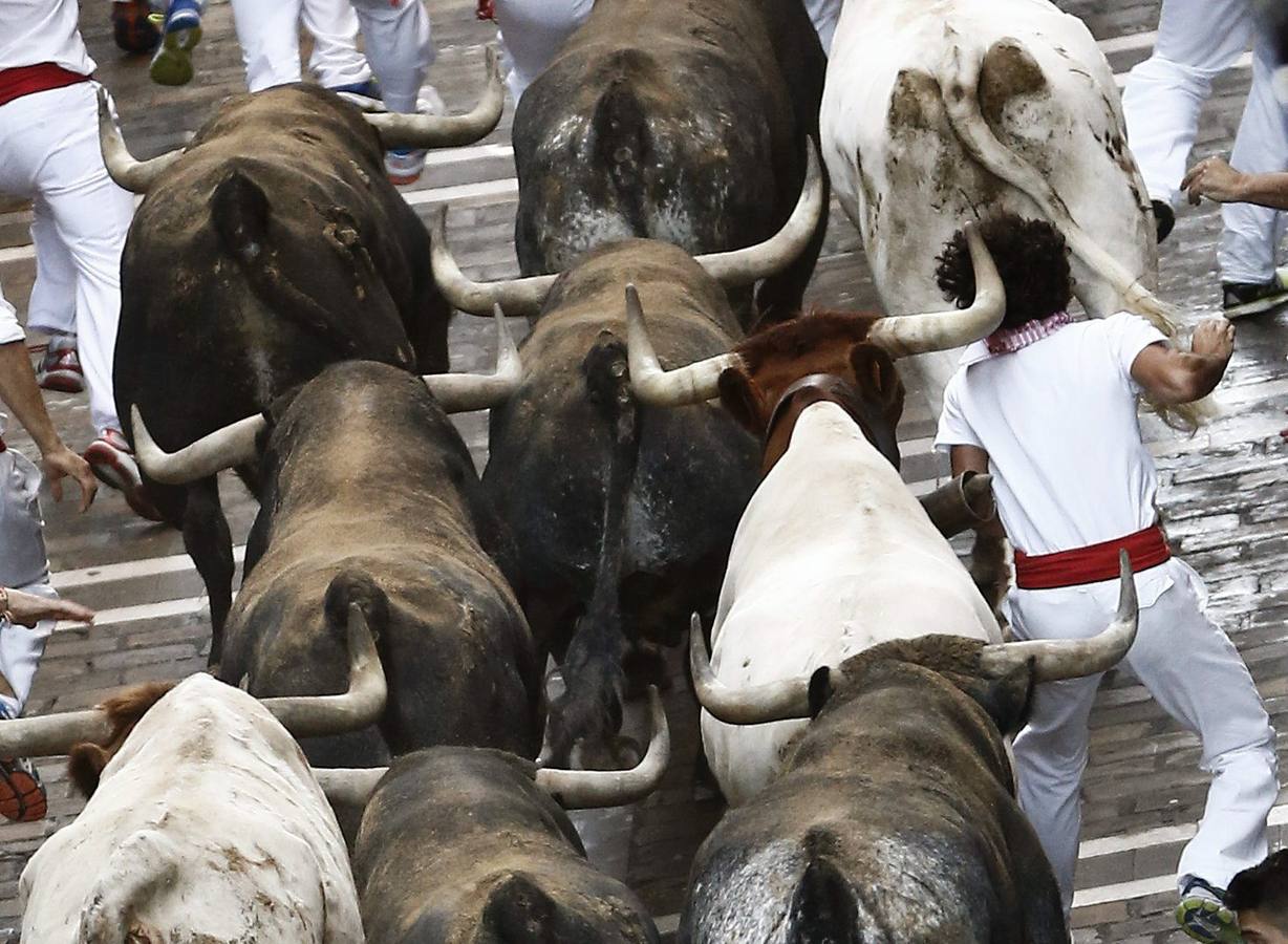 Los toros del último encierro.