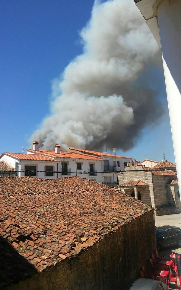 Incendio forestal declarado en Acebo