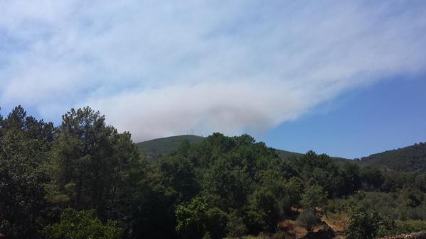 Incendio forestal declarado en Acebo