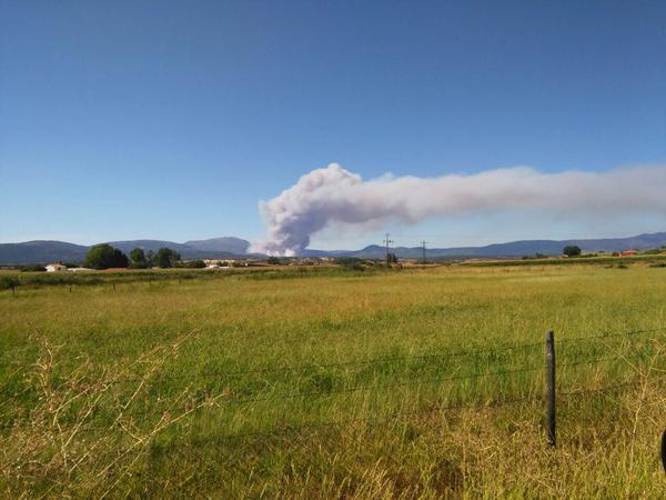 Incendio forestal declarado en Acebo