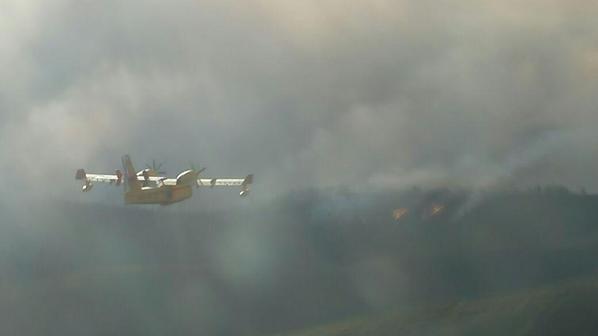 Incendio forestal declarado en Acebo