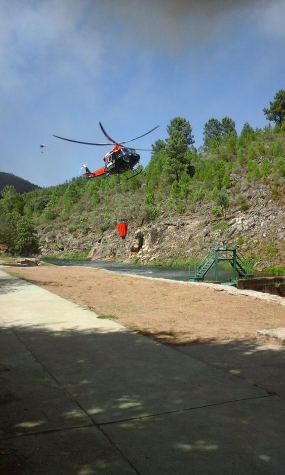 Incendio forestal declarado en Acebo