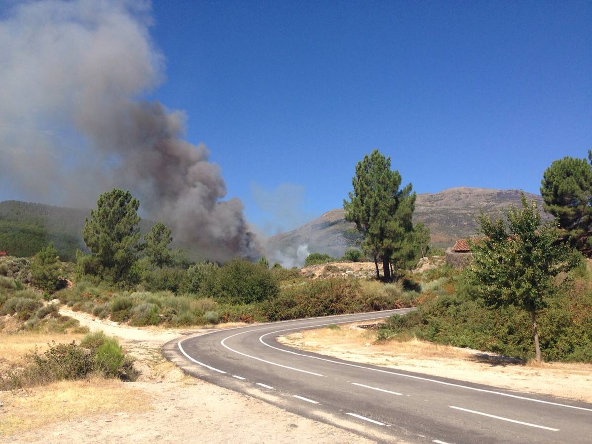 Incendio forestal declarado en Acebo