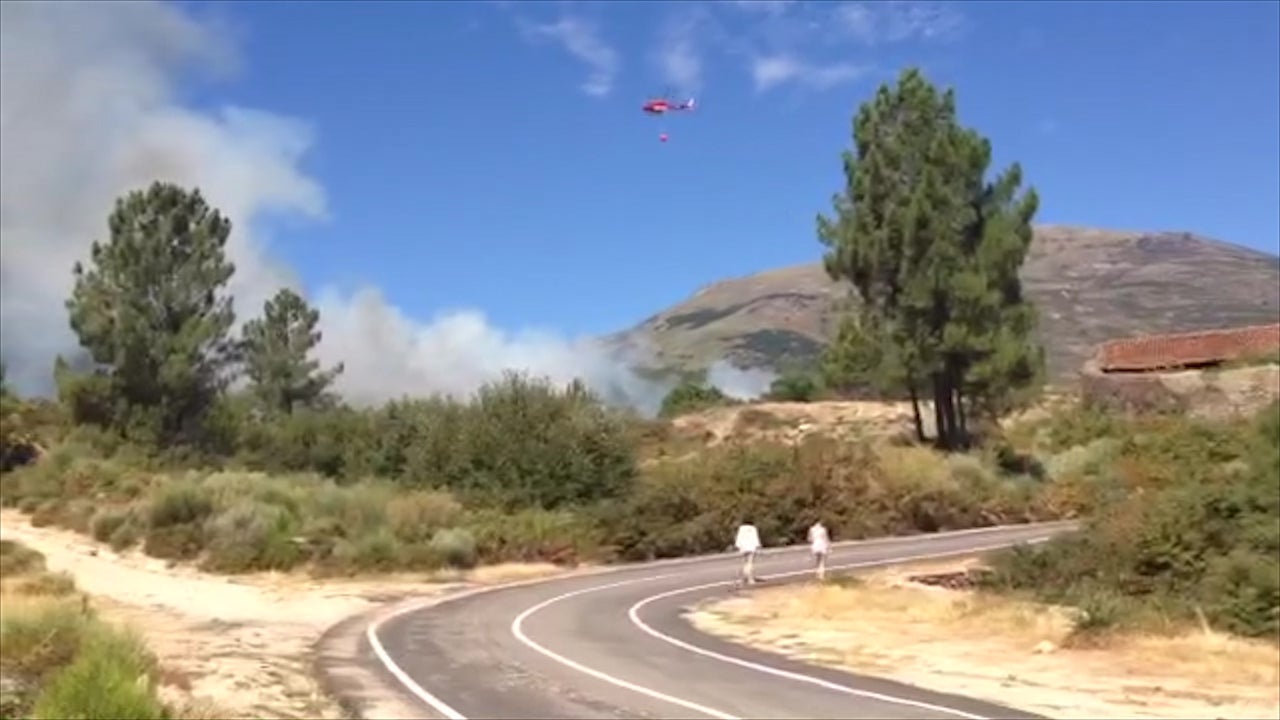 Incendio forestal declarado en Acebo