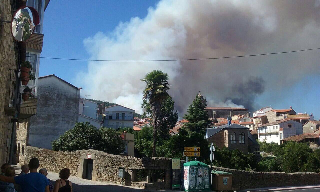 Incendio forestal declarado en Acebo