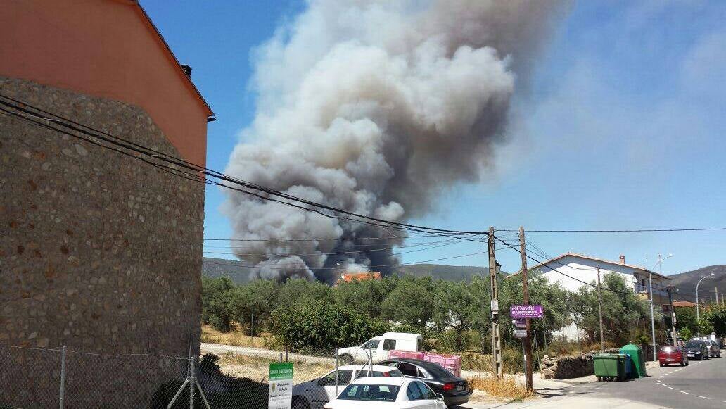 Incendio forestal declarado en Acebo