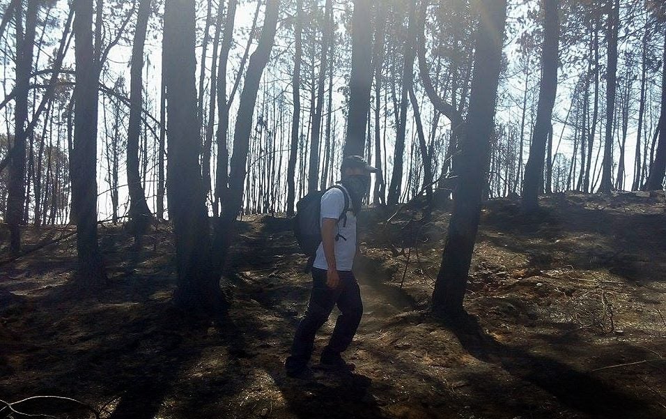 Batidas por el monte para salvar animales heridos por el fuego
