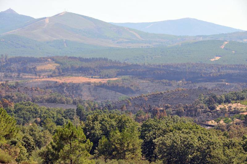 El fuego ha devorado cercad e 8.000 hectáreas de monte