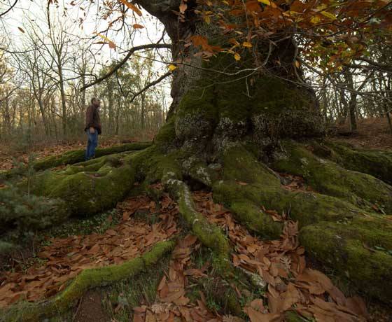 Autor: www.geoparquevilluercas.es