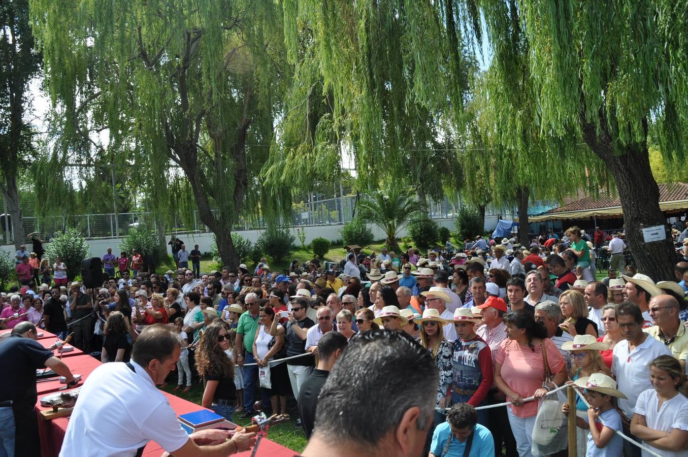 Día del Jamón en Monesterio