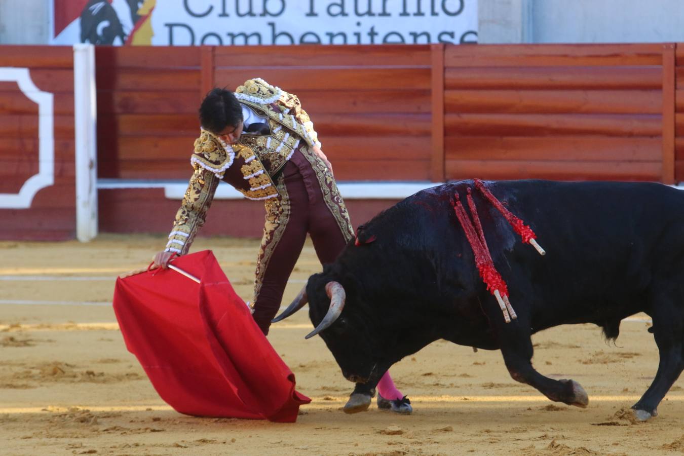 Perera y Garrido salen a hombros en Don Benito tras cortar seis orejas