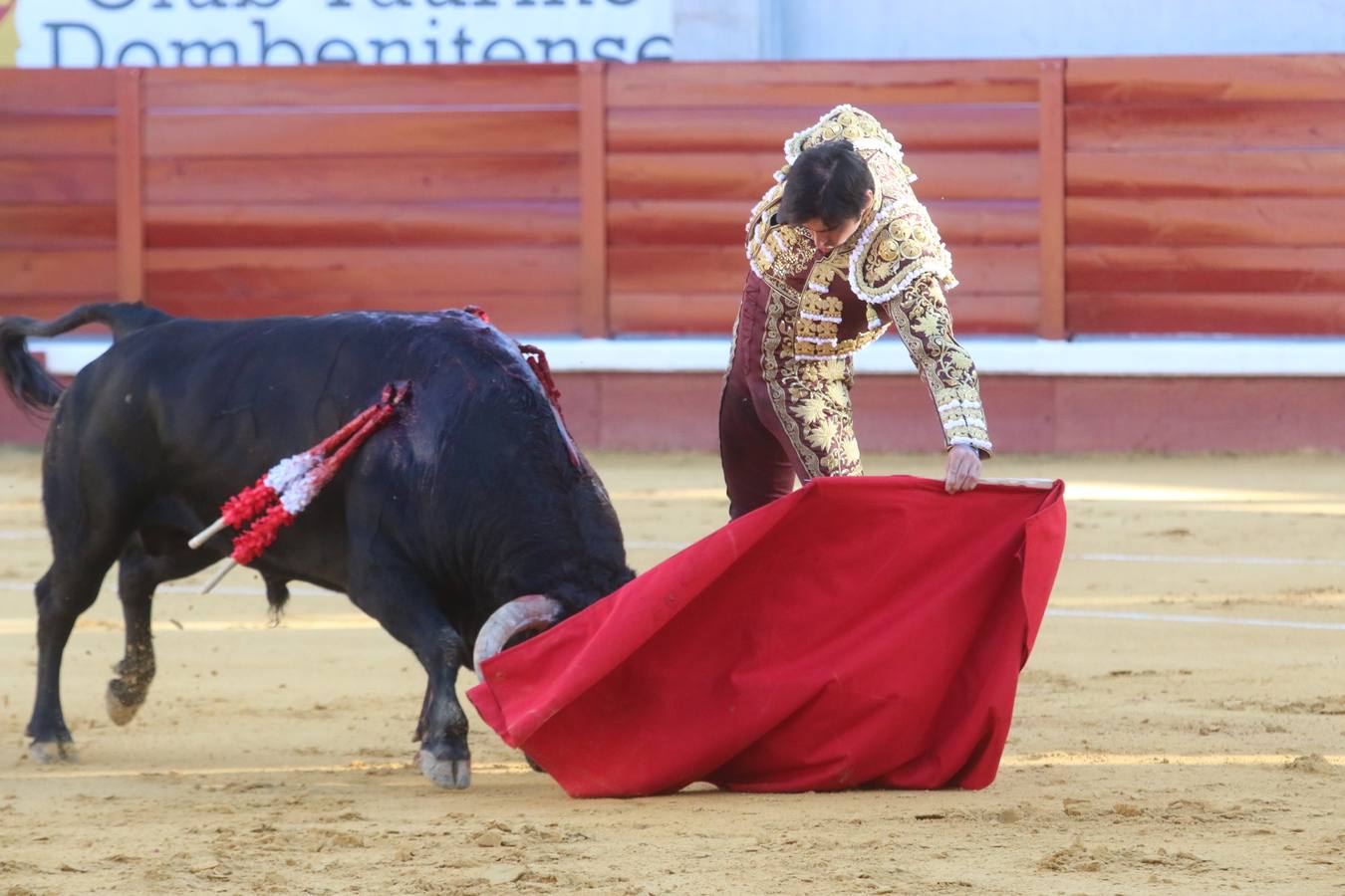Perera y Garrido salen a hombros en Don Benito tras cortar seis orejas