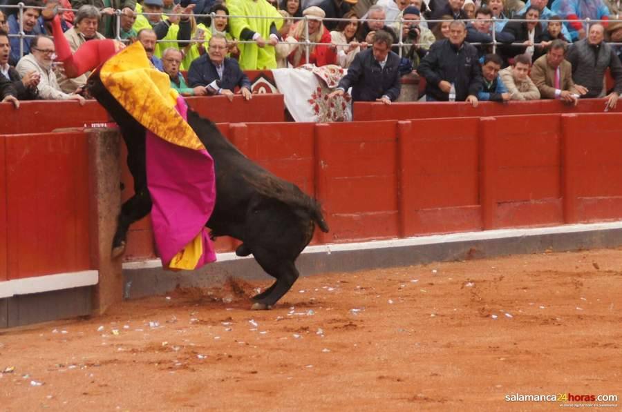 Cogida de Miguel Ángel Perera en Salamanca
